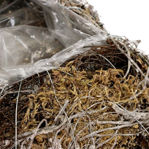 Floristik24 Cushion moss, vine 25cm x25cm