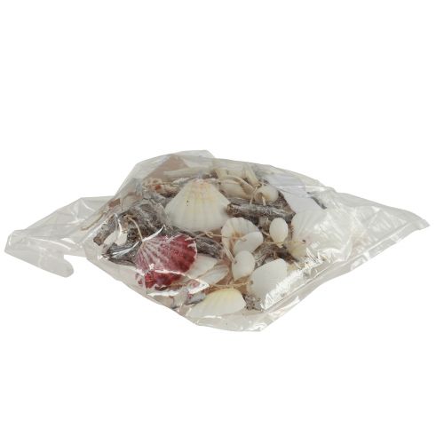 Floristik24 Wind chime maritime starfish shells 80cm