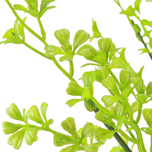 Product Clover Dwarf Clover Artificial Plants in Green on Pick 49cm 2pcs