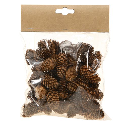 Product Small hemlock cones decorative natural cones Advent 3-4cm 100g