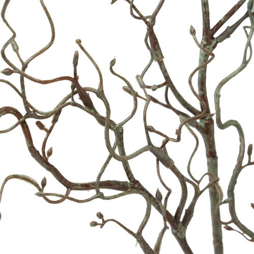 Floristik24 Artificial willow branch with buds brown spring L76cm