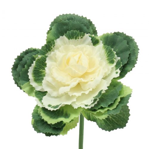 Floristik24 Artificial cabbage white, green 25cm 6pcs