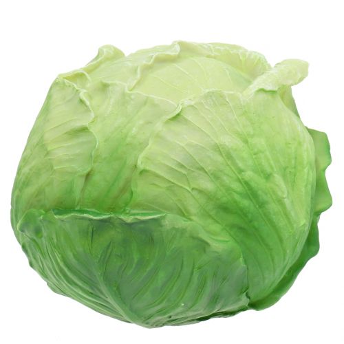 Floristik24 White cabbage Ø16cm