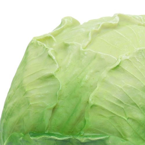 Floristik24 White cabbage Ø16cm
