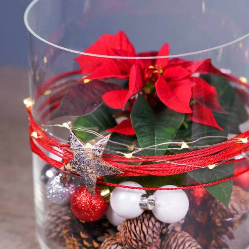 Floristik24 Coconut star silver 5cm 50pcs table decoration silver Advent decoration stars