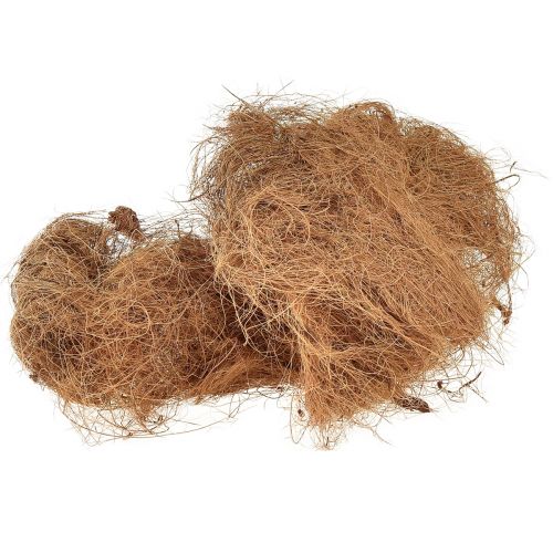 Floristik24 Coconut fiber natural plant fiber natural fiber craft material 1kg