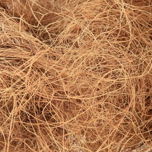 Floristik24 Coconut fiber natural plant fiber natural fiber craft material 1kg