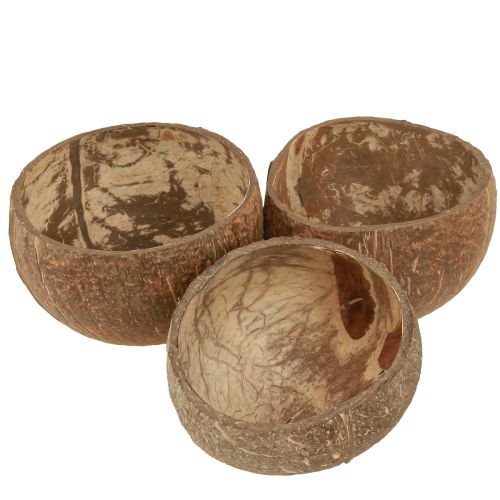 Floristik24 Coconut Shell Natural Decoration Coconut Shell Halved 10cm 6 Pcs