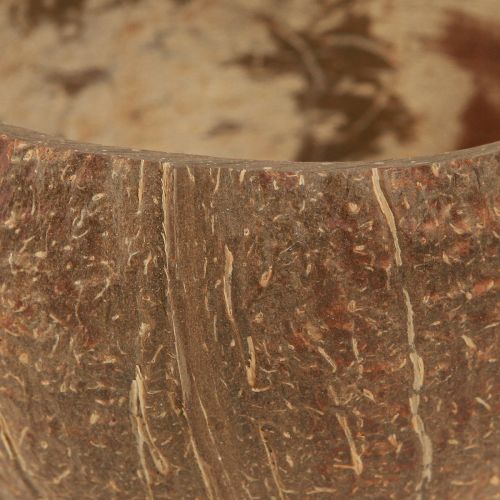 Floristik24 Coconut Shell Natural Decoration Coconut Shell Halved 10cm 6 Pcs