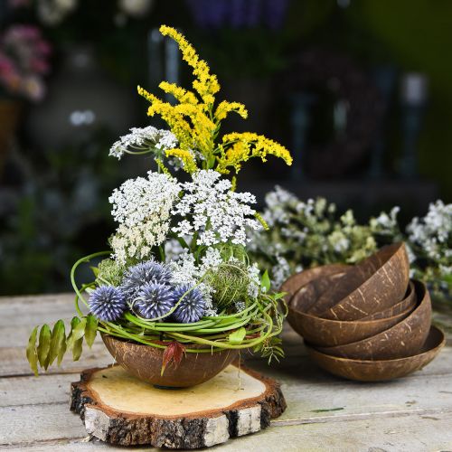 Floristik24 Coconut decorative bowl natural polished 6 pieces