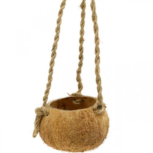 Product Hanging coconut bowl, natural plant bowl, hanging basket Ø8cm L55cm