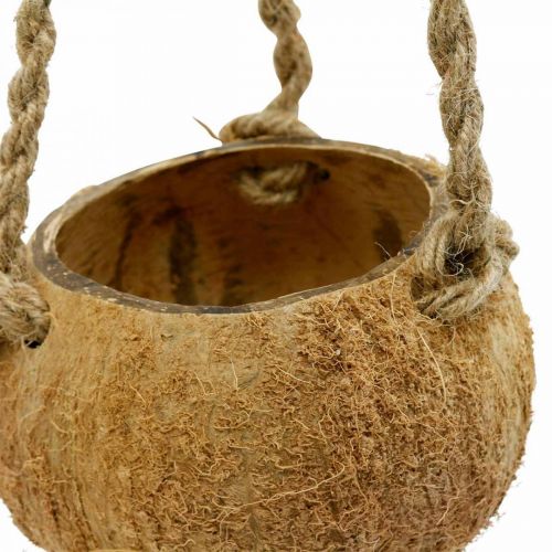 Product Hanging coconut bowl, natural plant bowl, hanging basket Ø8cm L55cm