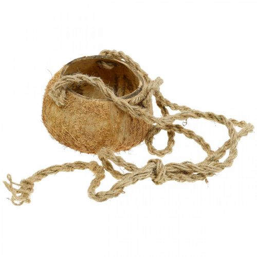 Product Hanging coconut bowl, natural plant bowl, hanging basket Ø8cm L55cm