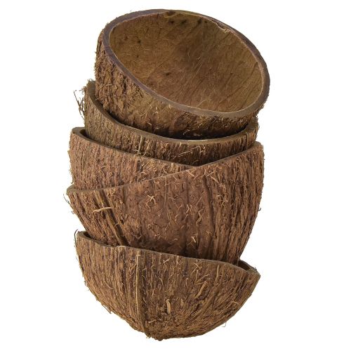 Floristik24 Coconut Bowl Decoration Natural Half Coconuts Ø7-9cm 5 pcs