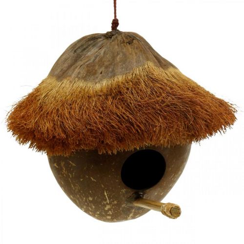 Floristik24 Coconut as a nesting box, birdhouse to hang, coconut decoration Ø16cm L46cm