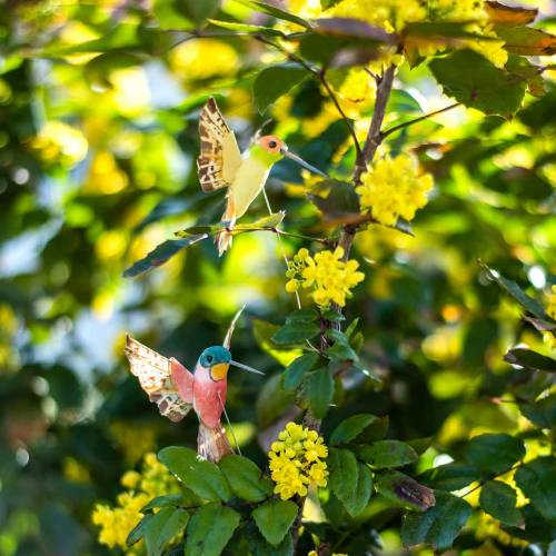 Floristik24 Hummingbird with wire 5.5cm L22cm assorted 12pcs