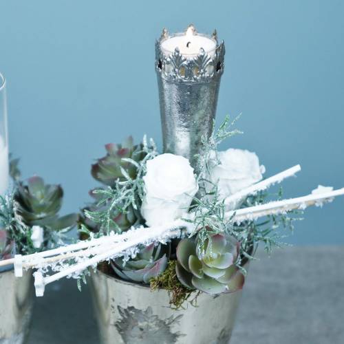 Product Preserved Roses Medium Ø4-4.5cm White 8 pcs