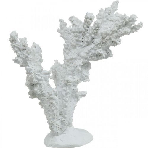 Floristik24 Maritime decoration coral white artificial decoration stand 11×12cm
