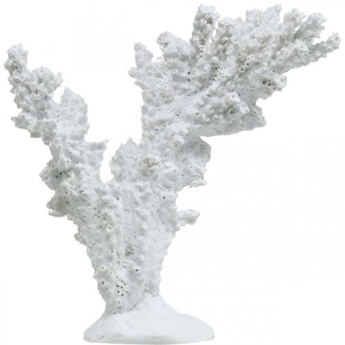 Floristik24 Maritime decoration coral white artificial decoration stand 11×12cm