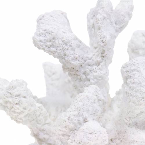 Product Coral plaster white H11cm 2pcs