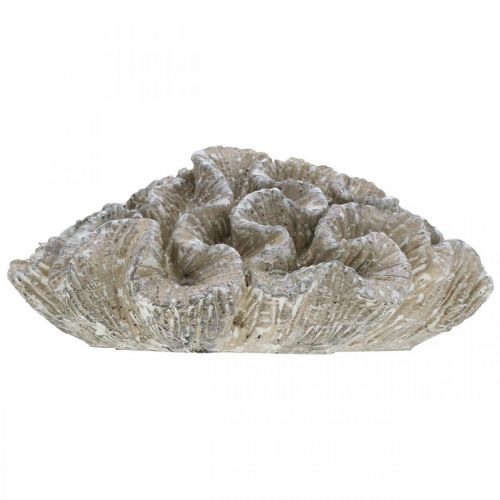 Product Maritime decoration coral beige white artificial polyresin 23x20cm