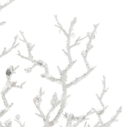 Floristik24 Coral branch with mica white L32cm 3pcs