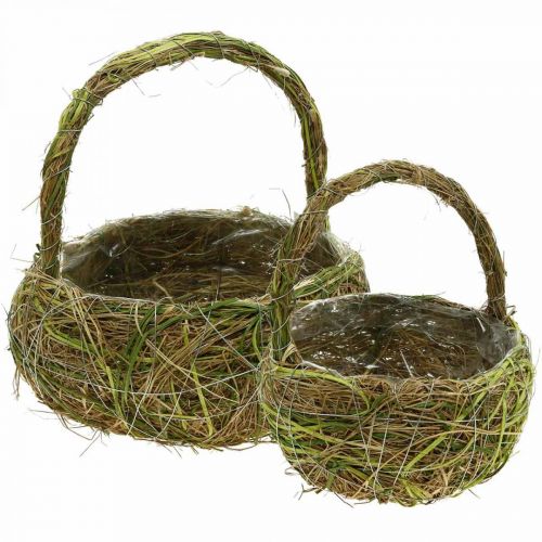 Floristik24 Plant basket with handles raffia and hay green basket spring 16×22/21×27cm set of 2