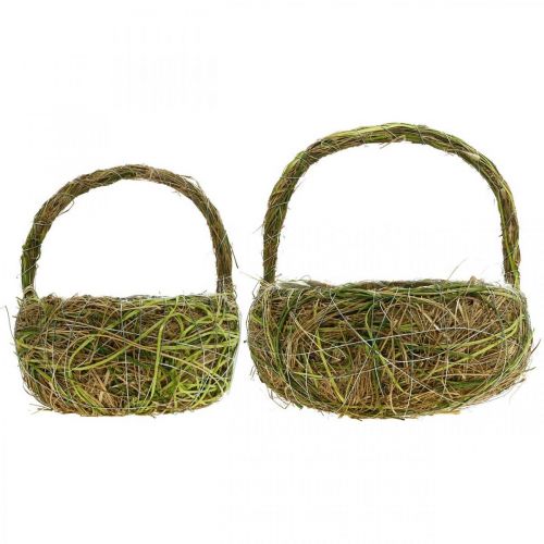 Floristik24 Plant basket with handles raffia and hay green basket spring 16×22/21×27cm set of 2