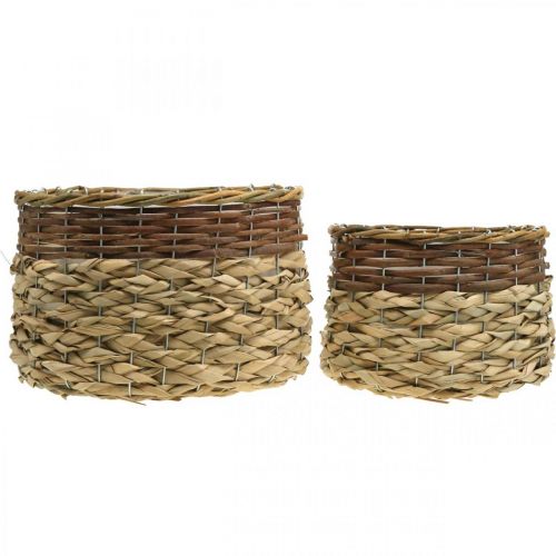 Product Wicker Basket Natural Wicker Plant Bowl Natural L30/22cm H20/17cm Set of 2