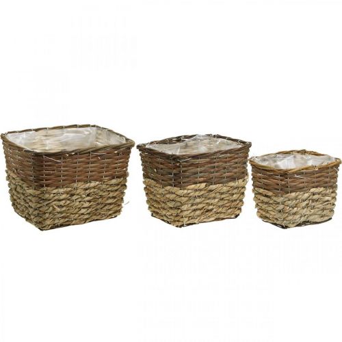 Product Plant basket, natural container for planting, square flower bowl natural L29.5/26/23cm H21/19/16cm set of 3