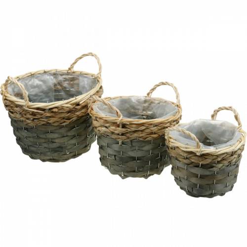 Plant basket, wicker basket for planting, flower basket round natural, grey Ø29/23.5/18cm set of 3