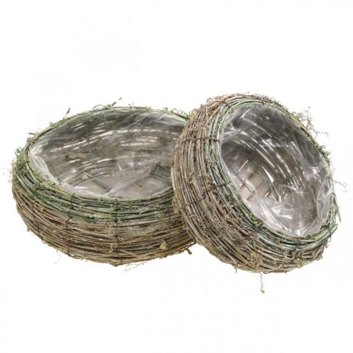 Plant basket round two-tone vine, wood Ø18 / 25cm, set of 2