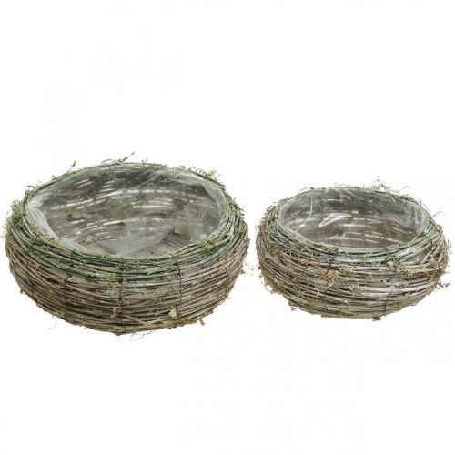 Floristik24 Plant basket round two-tone vine, wood Ø18 / 25cm, set of 2