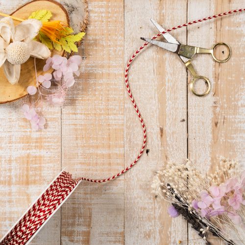 Zigzag pattern cord on a roll for crafting and packaging, 3mm diameter, 20m long | Floristik24.ie