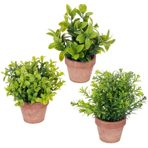 Floristik24 Artificial plant in a flower pot with realistic texture for indoor use and decoration, 18cm, 3 pieces