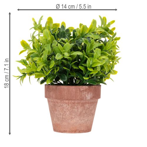 Product Artificial plant in a flower pot with realistic texture for indoor use and decoration, 18cm, 3 pieces
