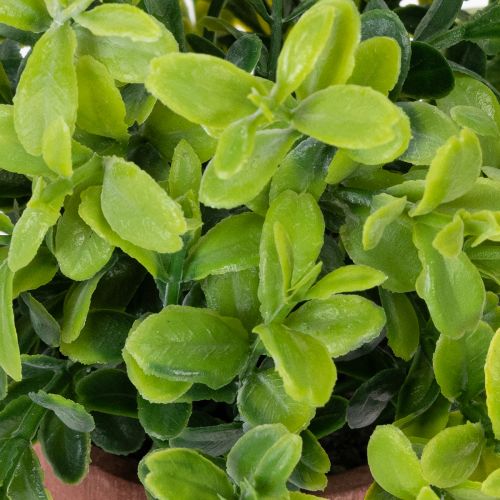 Product Artificial plant in a flower pot with realistic texture for indoor use and decoration, 18cm, 3 pieces