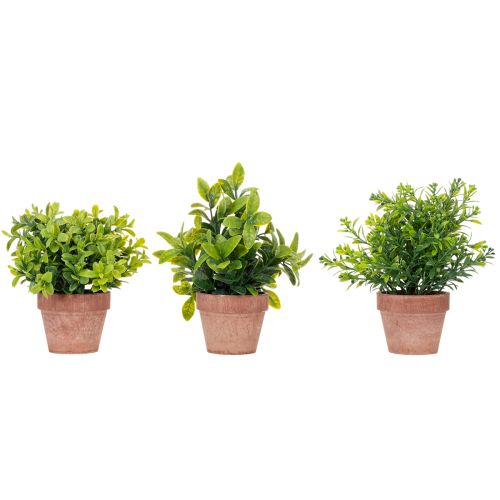 Product Artificial plant in a flower pot with realistic texture for indoor use and decoration, 18cm, 3 pieces