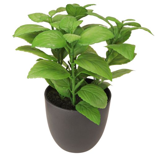 Floristik24 Artificial herbs basil thyme rosemary Ø11.5cm 3pcs