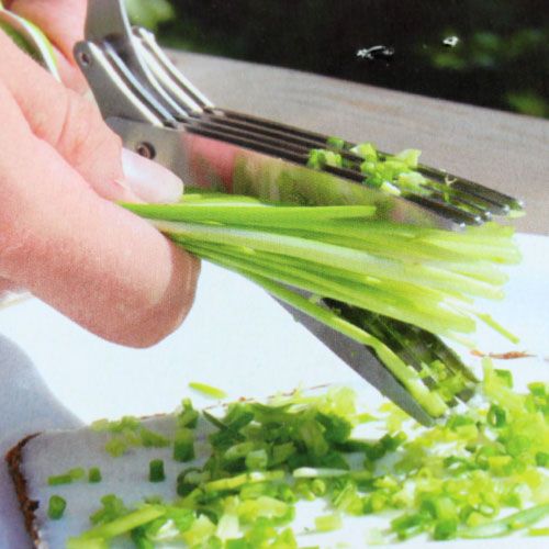 Floristik24 Chive scissors with 5 blades