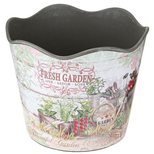 Floristik24 Herb pot flower pot plastic Fresh Garden H13.5cm 2pcs