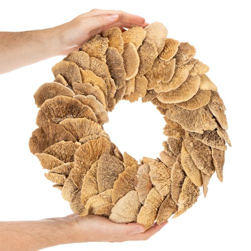 Tree fungus wreath, natural color, for door or wall decoration, 37cm | Floristik24.ie