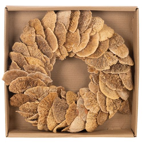 Tree fungus wreath, natural color, for door or wall decoration, 37cm | Floristik24.ie