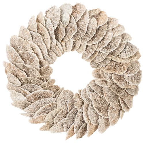 Wreath Tree Sponge Natural Decoration 37cm buy online | Floristik24.ie
