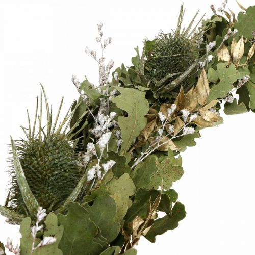 Floristik24 Christmas wreath dried wreath oak thistle Ø45cm