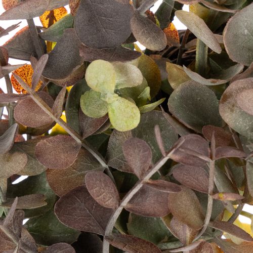 Artificial eucalyptus wreath, autumn decoration, round, 45cm | Floristik24.ie