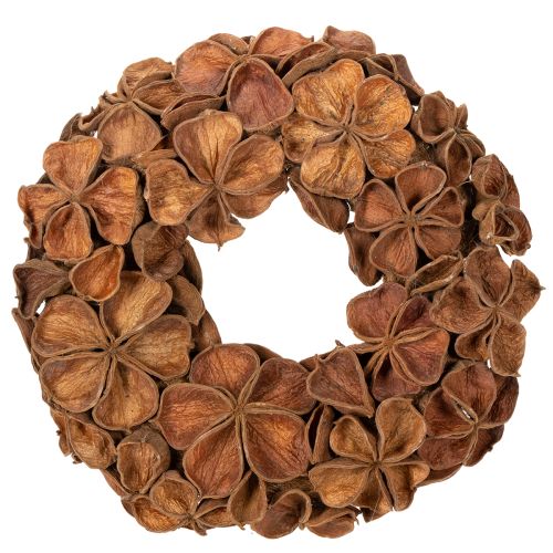 Dried Lotus Wreath, Decorative Door Wreath, 35cm buy online | Floristik24.ie