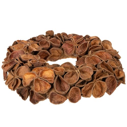 Dried Lotus Wreath, Decorative Door Wreath, 35cm | Floristik24.ie
