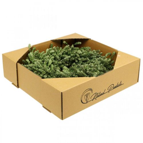 Product Christmas wreath decoration green dried flower wreath door wreath flax herb festive Ø34cm