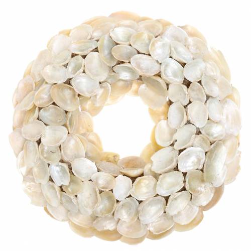 Floristik24 Wreath with shells natural shimmering Ø30cm